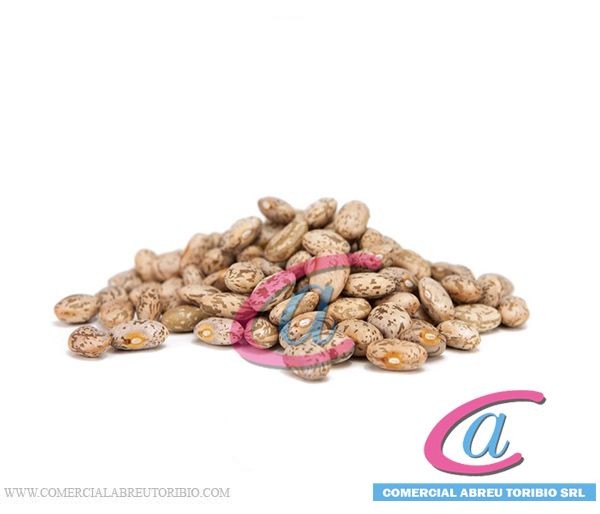 HABICHUELAS PINTA TIPO A SACOS DE 100 LBS