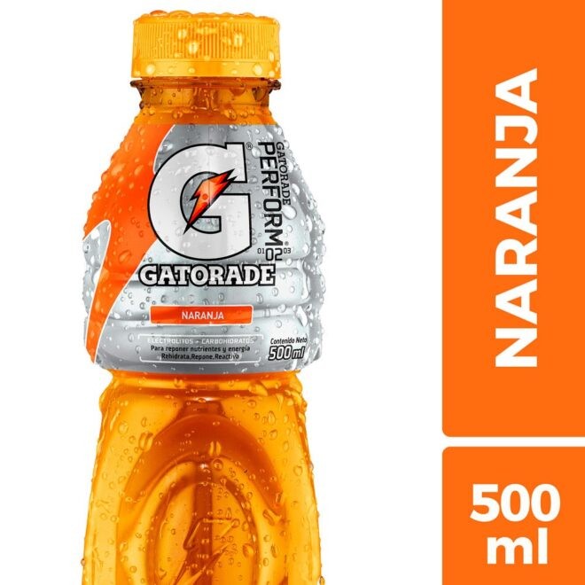 JUGO GATORADE DE MELOCOTON 24/591 ML