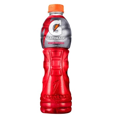 JUGO GATORADE FRUIT PUNCH 24/591 ML