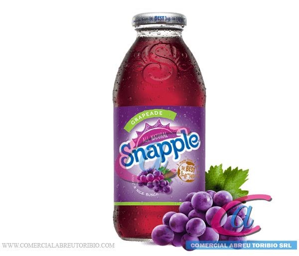 JUGO SNAPPLE GRAPE JUICE (UVA) 24/16 oz