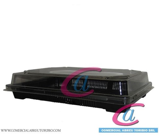 [00-002951] DELIPACK SUSHI GRANDE CAPPSA (FONDO BAJO / TAPA BA