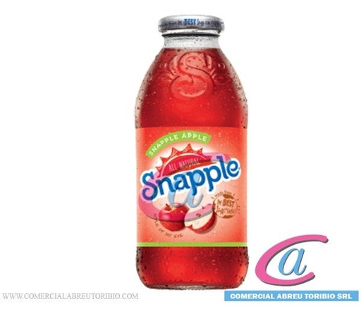 [00-003306] JUGO SNAPPLE APPLE JUICE 24/16 oz